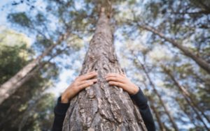 abraza un árbol
