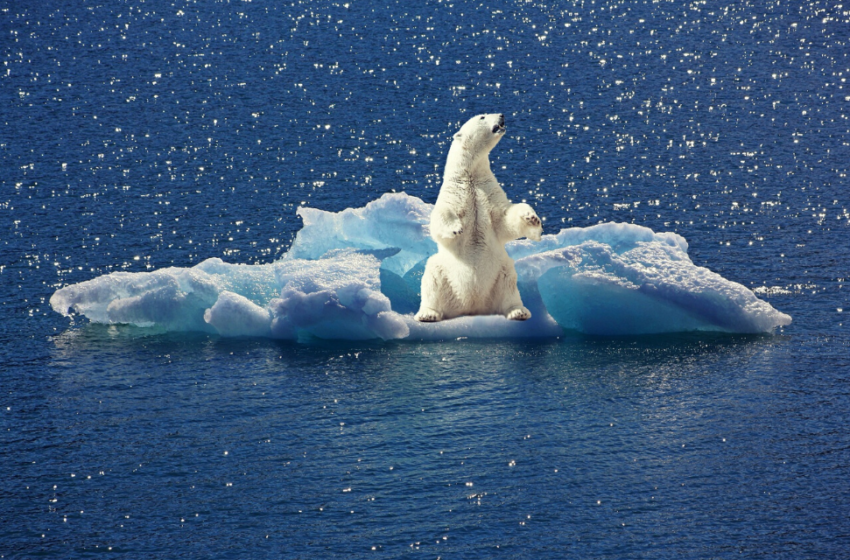  El Polo Norte en peligro para 2050