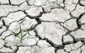 cambio climático