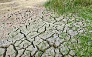 cambio climático comercio