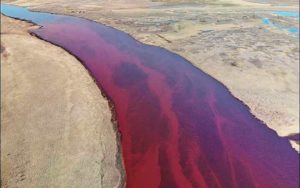 derrame petroleo Rusia