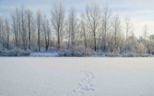 Siberia temperatura