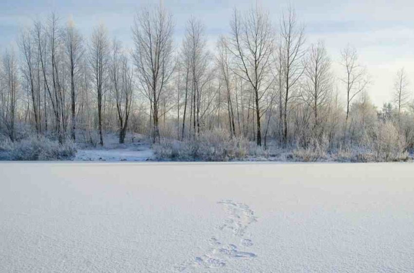  Altas temperaturas en Siberia