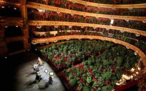 Liceu concierto