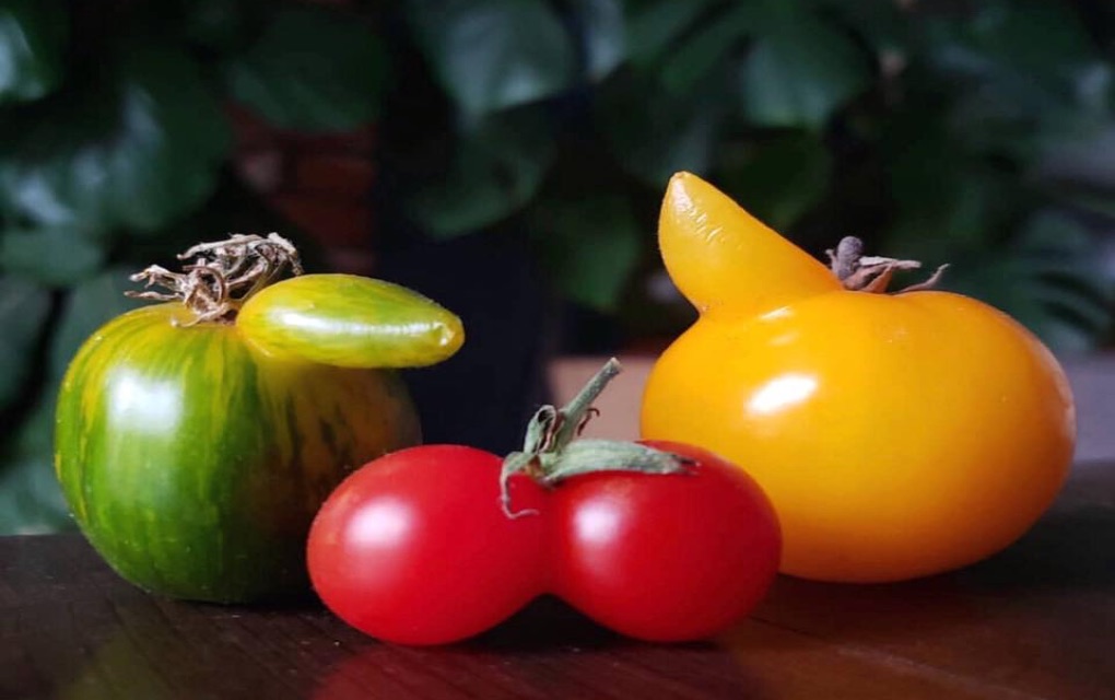 frutas y verduras feas