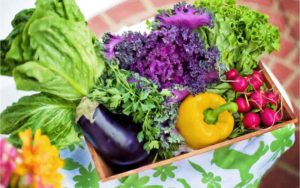 proteínicas vegetales