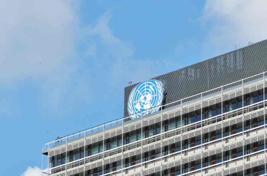  ONU reclama ayuda internacional
