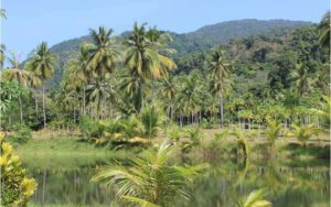 indígenas amazonia