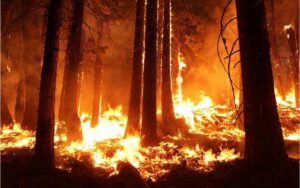 julio incendios amazonas