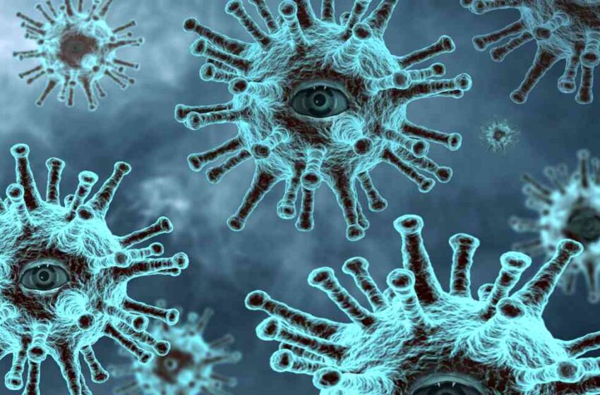 H1N1 presenta nueva cepa EL SOL SALE PARA TODOS