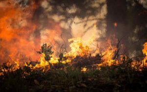 California incendios