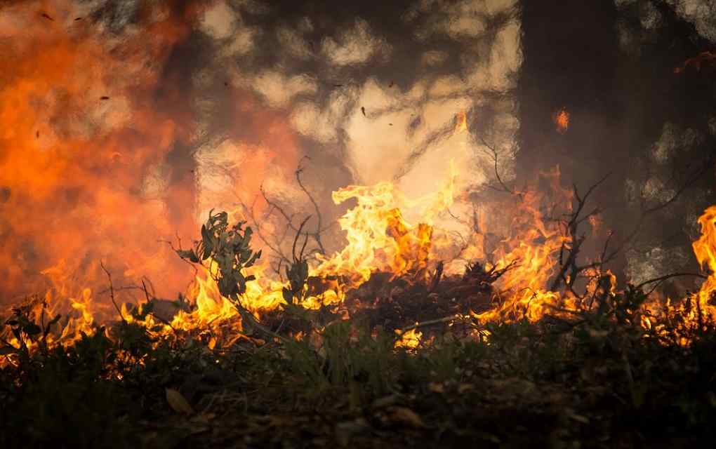 incendios forestales