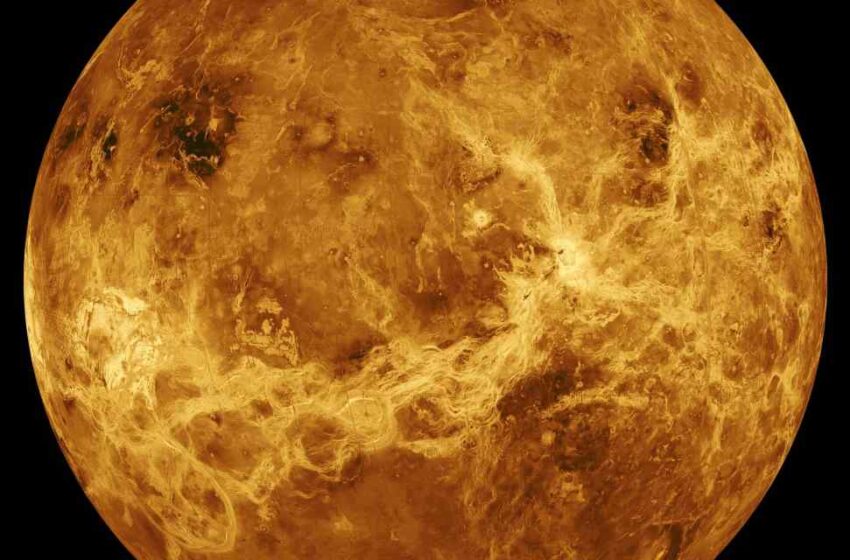  Venus podría tener vida