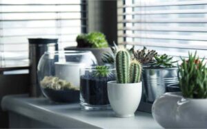 Electricidad con plantas