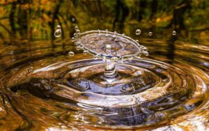 vivir sin agua
