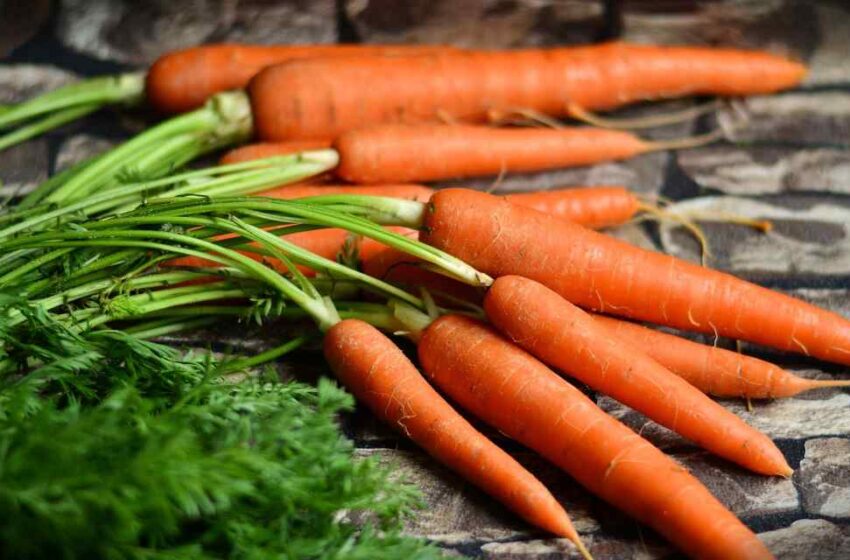  Zanahorias y las alergias