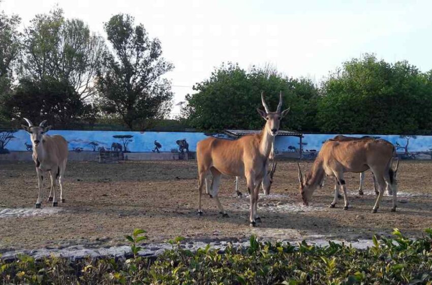  En Wamerú colpasa una barda