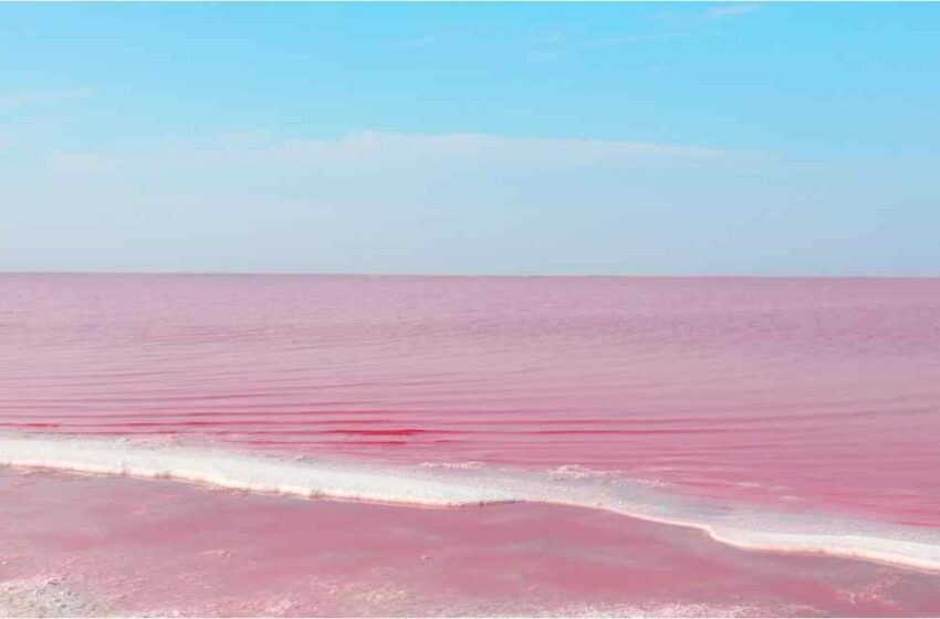  Lago Kobeytuz la joya rosa