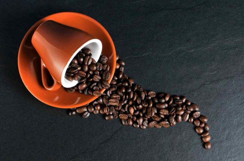  Más café menos Parkinson