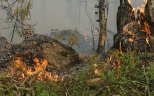 Incendios de pastizales