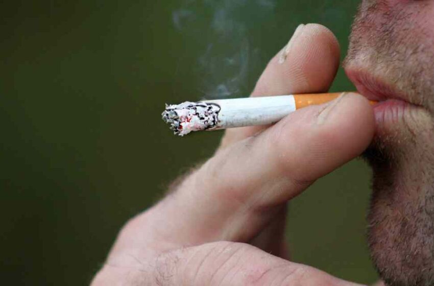  Fumadores y  muerte prematura