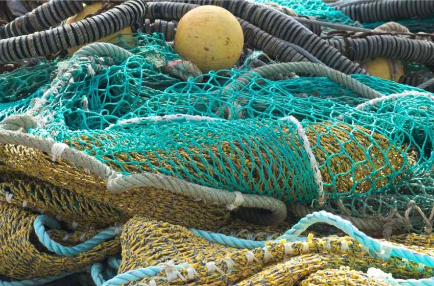  México vs redes de pesca fantasma