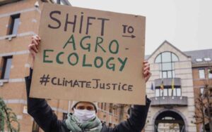 Bélgica activistas Greenpeace